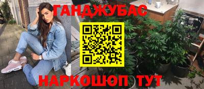 гидра Гай