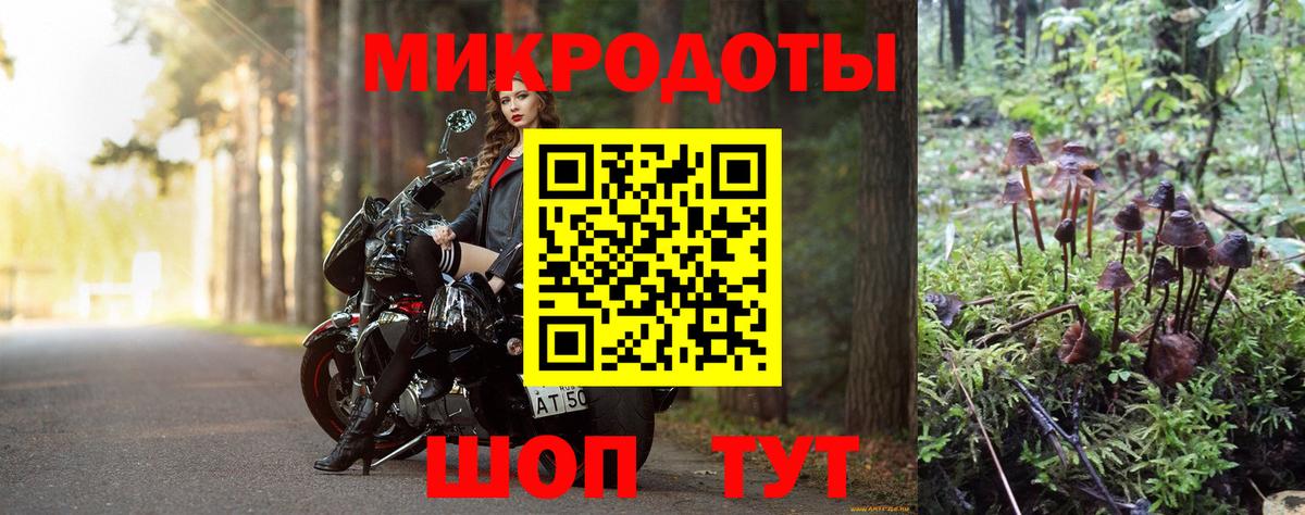 Псилоцибиновые грибы Psilocybine cubensis  Вход с VPN  Нарткала 